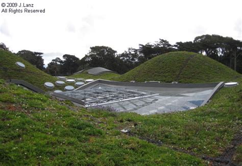 California Academy of Science Museum, San Francisco | San Diego Reader