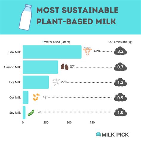 What Plant Based Milk Has the Most Protein? | Milk Pick