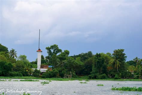 Kochi Backwaters Cruise- A Lesson in Ornithology and Ecology ...