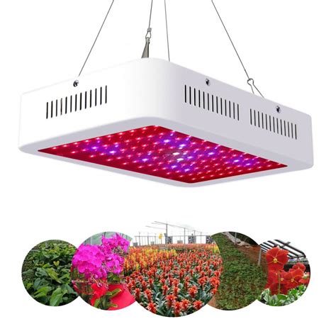 Volt Led Grow Light Reviews at Santa Golden blog