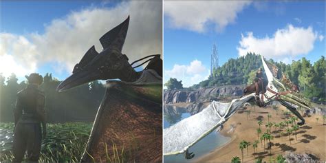 Ark Survival Evolved: Everything You Need To Know About The Pteranodon