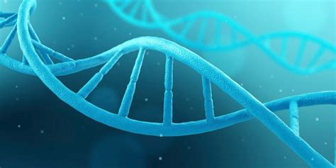 A Guide to Molecular Diagnostics - Applied BioCode