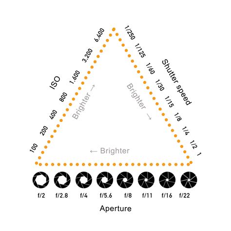 The exposure triangle - a beginners guide - Xpozer Blog