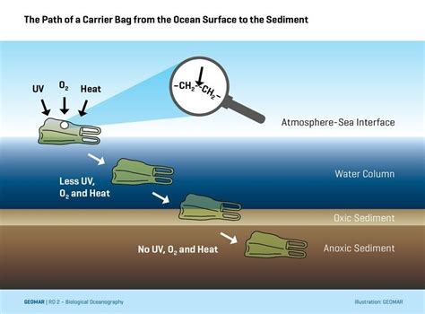 How Many Types Of Biodegradable Bags Are There | IUCN Water