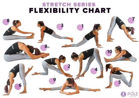 Stretch Series 28 Day Splits Challenge Flexibility Chart Flat Front ...