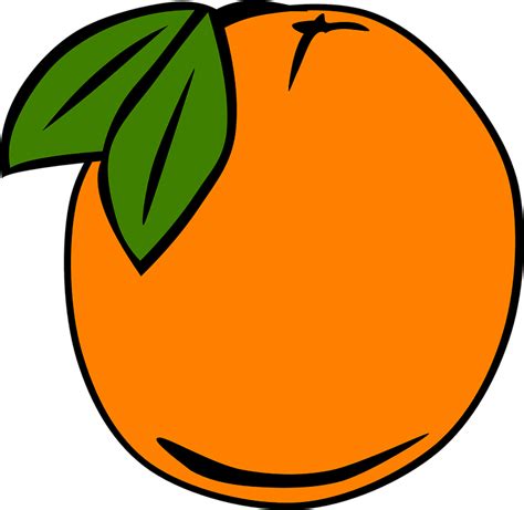 Download Orange, Fruit, Ripe. Royalty-Free Vector Graphic - Pixabay