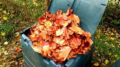 Composting All Those Fall Leaves? Here's How To Do It Right