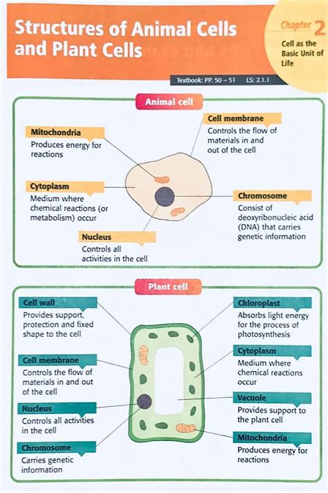 science form 1 kssm notes - Zoe May