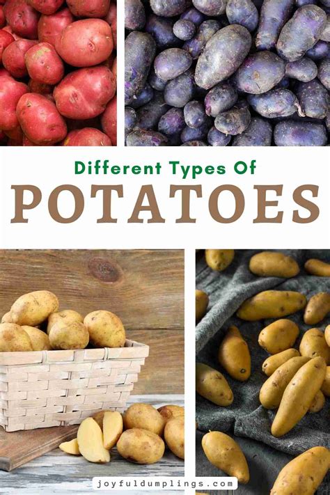 Types Of Potatoes