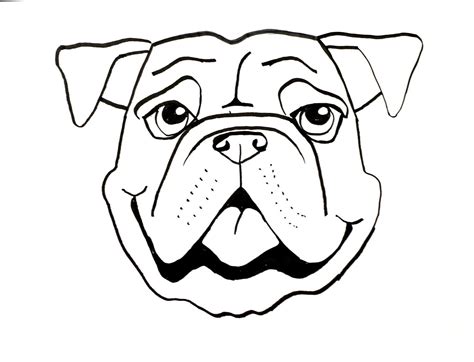 Dog Face Drawing | Free download on ClipArtMag