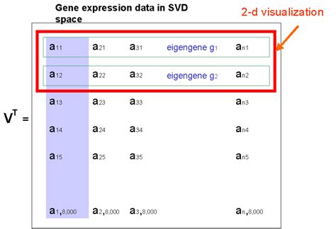 Gene Expression Analysis