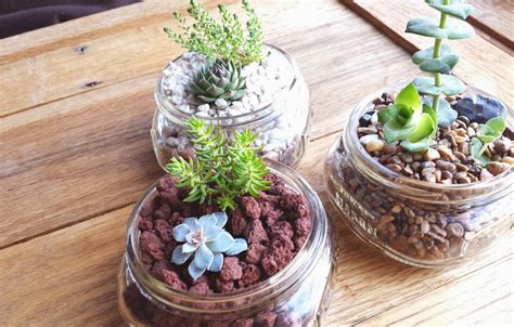 Mason jars with succulents – Artofit