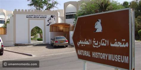 Natural History Museum Open to Public for 53rd National Day Holidays