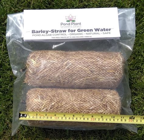 Barley Straw (CERTIFIED 100% ORGANIC) | Pond Plant Growers Direct