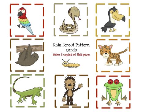 Animals Of The Rainforest Worksheet