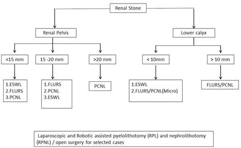 Frontiers | Update on Surgical Management of Pediatric Urolithiasis