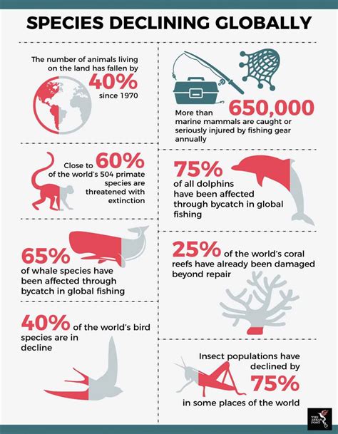 The Sixth Mass Extinction of Species – QR Learning Platform