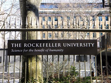 Rockefeller University: Doping Western Cultures With Oxytocin Will Cure Hatred Of Refugees