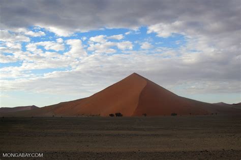 Red sand dune in Namibia