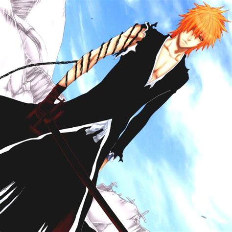 Dangai Ichigo Wallpapers - Top Free Dangai Ichigo Backgrounds - WallpaperAccess