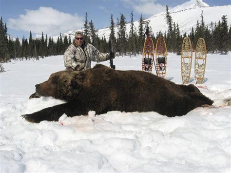 These Are The Biggest Grizzly Bear Kills In The Record Books ⋆ Outdoor Enthusiast Lifestyle Magazine