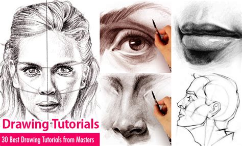 30 Best Drawing Tutorials – Learn Drawing Techniques from Masters – Animation Insider