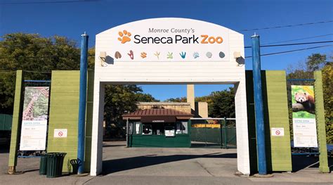 Captive polar bears: Seneca Park Zoo, Rochester, New York, USA – Bear ...