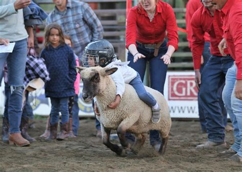 Celebrate the series winners of the 2023 High Country Stampede Rodeo ...