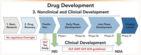 Drug Development Process Overview