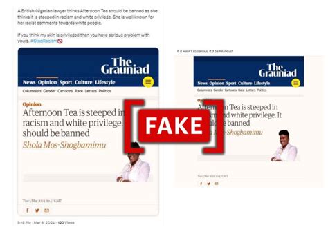 Screenshot of Guardian op-ed by activist Shola Mos-Shogbamimu on racism is fake | Logically Facts