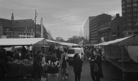 Seagulls and humans | Rotterdam Market Netherlands | Sergios Saropoulos ...