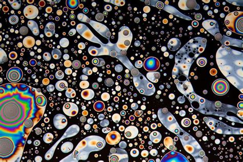 Microscope Photos Show the Abstract Beauty of the World All Around Us | Microscopic photography ...