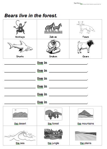 Different Habitats Worksheets