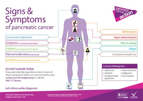 Signs & Symptoms of Pancreatic Cancer — Info You Should Know