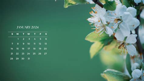 Desktop Calendar Wallpaper January 2024 - Winny Colette