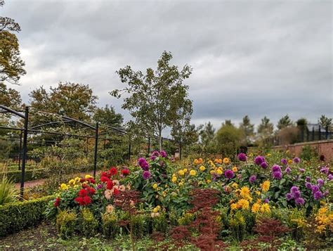 flowers, Dumfries House gardens, Ayrshire | flowers, Dumfrie… | Flickr