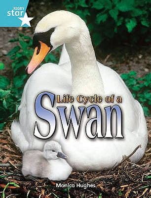 Life Cycle of a Swan : Turquoise Level Non-Fiction - Walmart.com - Walmart.com