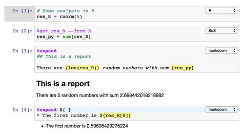 Python jupyter notebook display image in markdown - lasopadavid