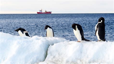 Antarctica temperature hit 63.5 degrees, sets new record high temperature