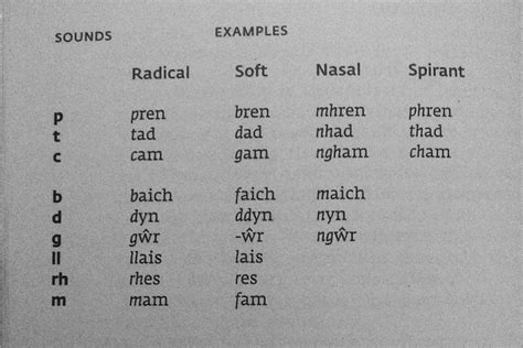 Mutations in Welsh: An Overview | Language Exchange Amino