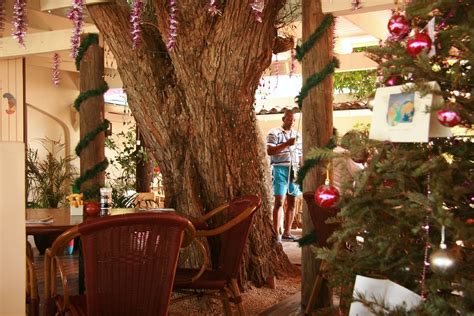 The tree in the restaurant | This was right in the middle of… | Flickr