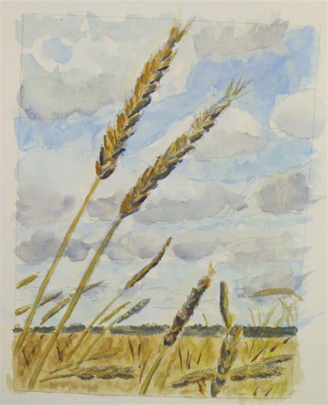 Corn field (copied from pinned photo) | Painting, Art, Watercolor paintings