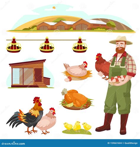 Poultry Farm Fowl, Equipment and Farmer, Isolated on White Background ...