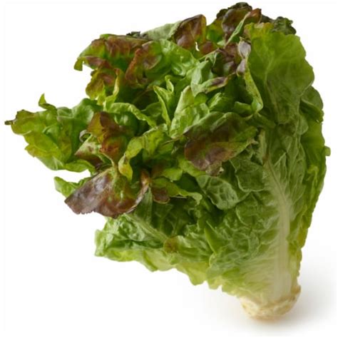 Red Leaf Lettuce, 1 ct - Kroger