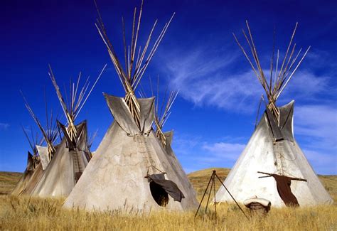 Lakota tipi | Native american culture, Native american history, Native american