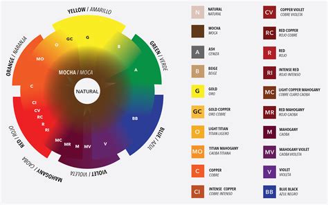 The Colour Wheel A Hair Colourist S Must Have Tool Co - vrogue.co