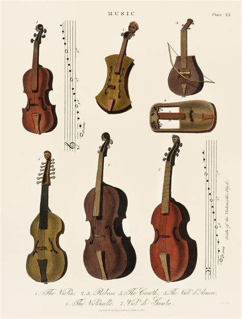 The Violin Family