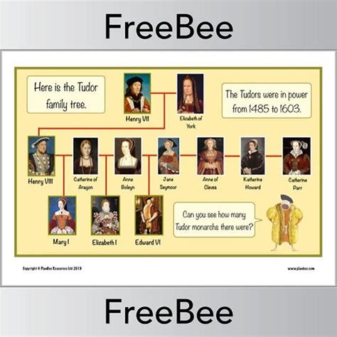 Tudor Family Tree Poster | Family tree poster, Tudor, Tudor history