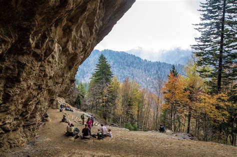 Hiking Mt. LeConte in the Great Smoky Mountains | Earth Trekkers