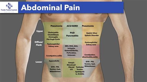 Performing a Thorough Abdominal Exam - A Step by Step Guide